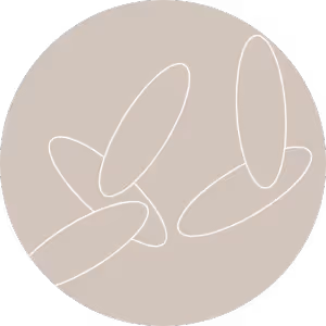 Bio-Dinkelspelzen